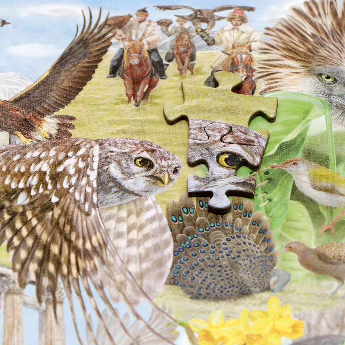 Illustration eines Puzzles mit verschiedenen Vogelarten aus aller Welt. Im Hintergrund fliegen Vögel, Menschen reiten auf Pferden und verschiedene Naturlandschaften sind zu sehen. Farben: Braun, Grün, Blau, Weiß, Gelb, Grau.
