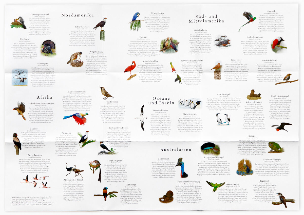 Puzzle »In 50 Vögeln um die Welt« zeigt eine Vielzahl von Vogelarten, die in verschiedenen Regionen der Welt beheimatet sind. Das Poster ist in Kategorien wie Nordamerika, Ozeane und Inseln, Afrika, Australasien und Süd- und Mittelamerika unterteilt. Jedes Feld enthält eine Illustration eines Vogels sowie Informationen über dessen Lebensraum und Eigenschaften.