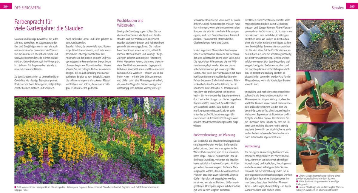 Das Bild zeigt eine Buchseite aus dem Buch 'Kreuter, Marie-Luise: Der Biogarten'. Die Seite enthält Text und farbige Abbildungen von Pflanzen und Blumen in einem Garten. Es werden Tipps und Anleitungen zur biologischen Gartenarbeit gegeben.