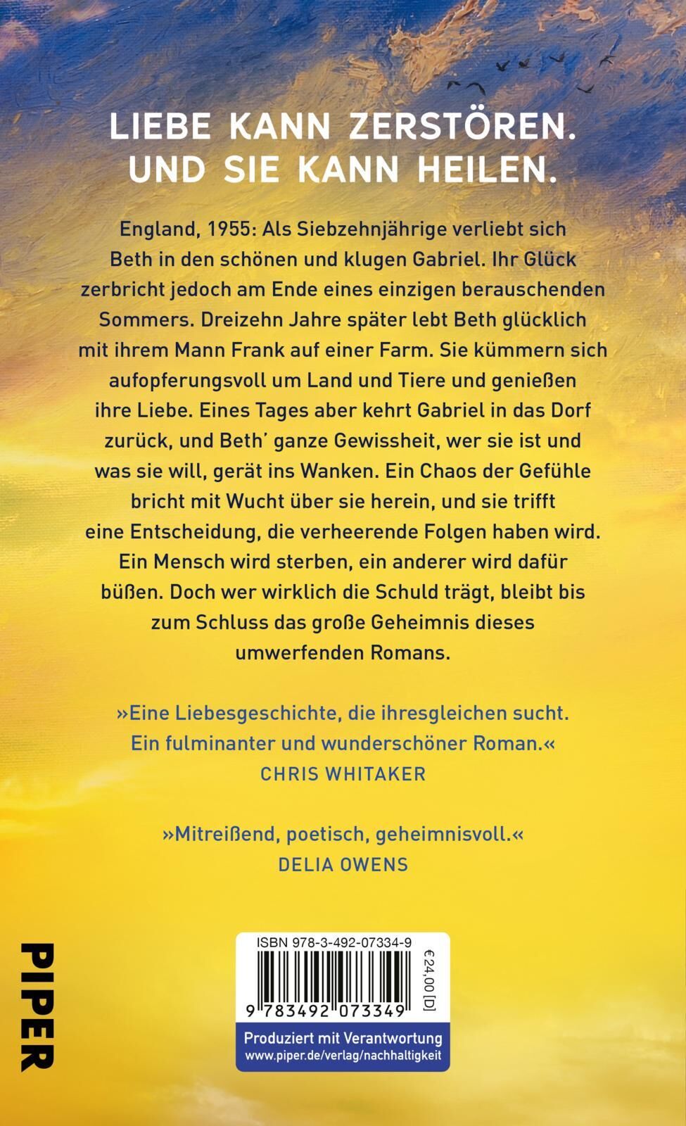 Rückansicht - Hall, C: Wie Risse in der Erde