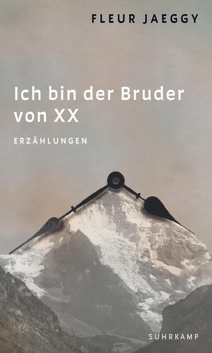 Cover Jaeggy, F: Ich bin der Bruder von XX