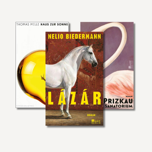 3 Buchcover aus der Kategorie Geheimtipps