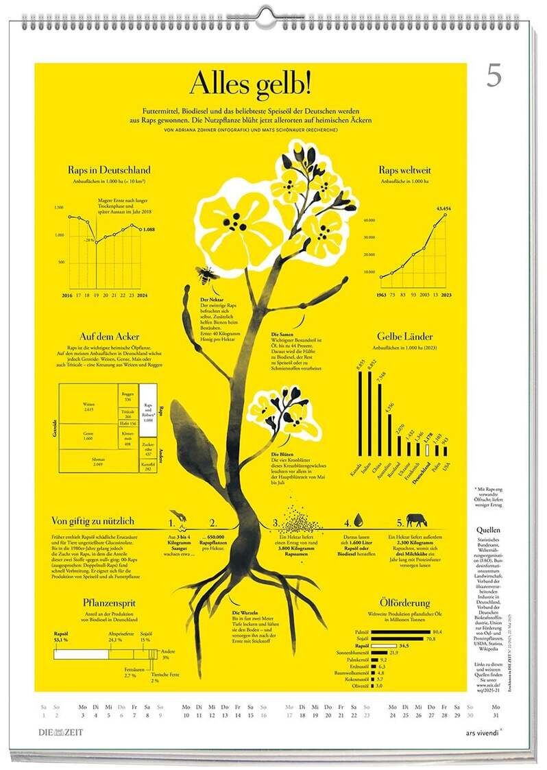 Der Kalender »Wissen in Bildern« 2027 von DIE ZEIT zeigt eine detaillierte Infografik auf gelbem Hintergrund. Zentral ist eine stilisierte gelbe Blütenpflanze, umgeben von Schaubildern, Statistiken und Textkästen zu Pflanzenwissen und landwirtschaftlichen Daten. Klar strukturiert und informativ.