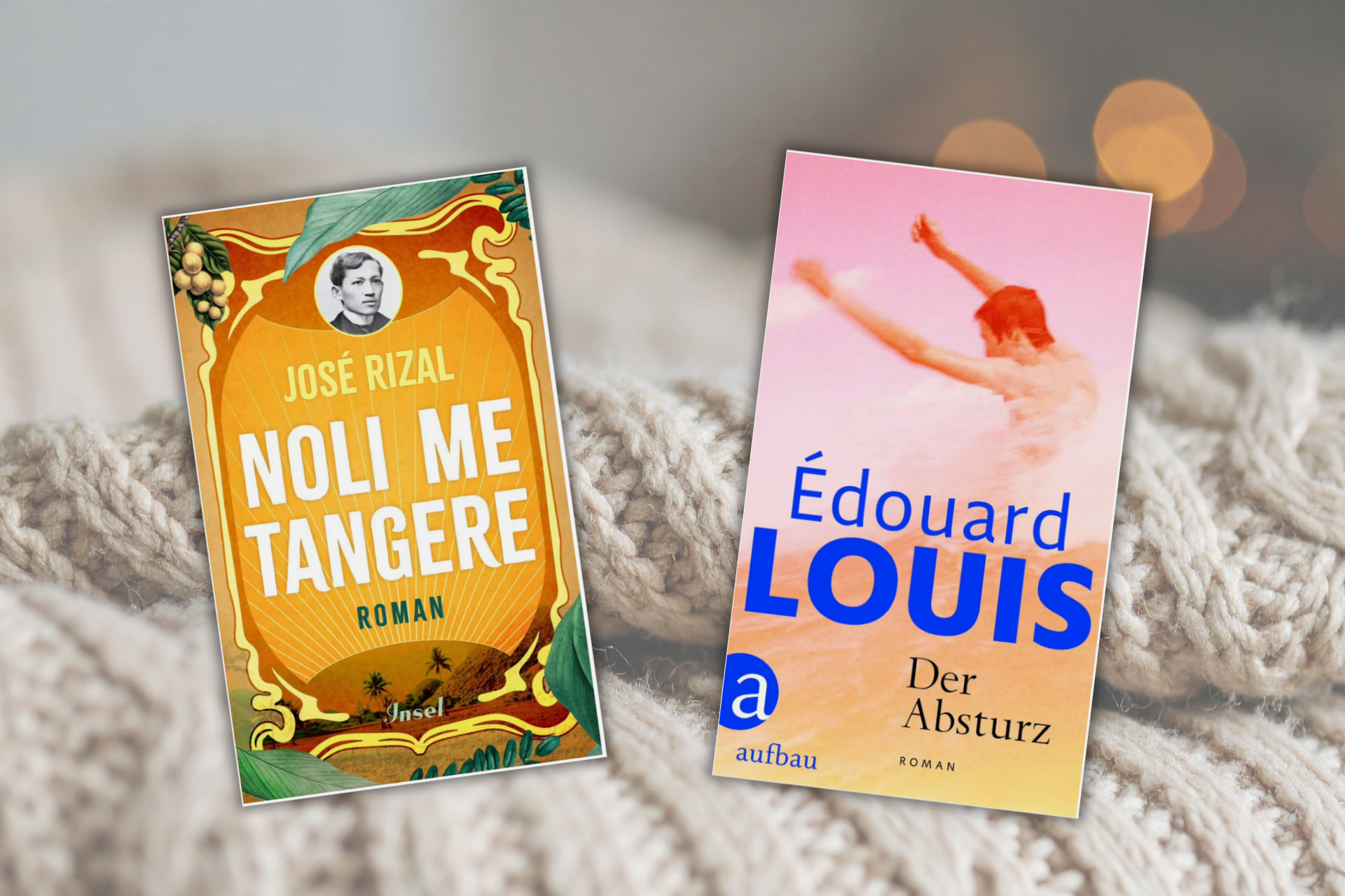 Link zur Kategorie Bücher, die uns Halt geben. Zwei Romane liegen auf einer gestrickten, beigen Decke: Links das Buch 'Noli Me Tangere' von José Rizal mit ornamentiertem, grün-gelb-orangem Cover, rechts das Buch 'Der Absturz' von Édouard Louis mit pink-orange-blauem Cover und verschwommener menschlicher Figur.