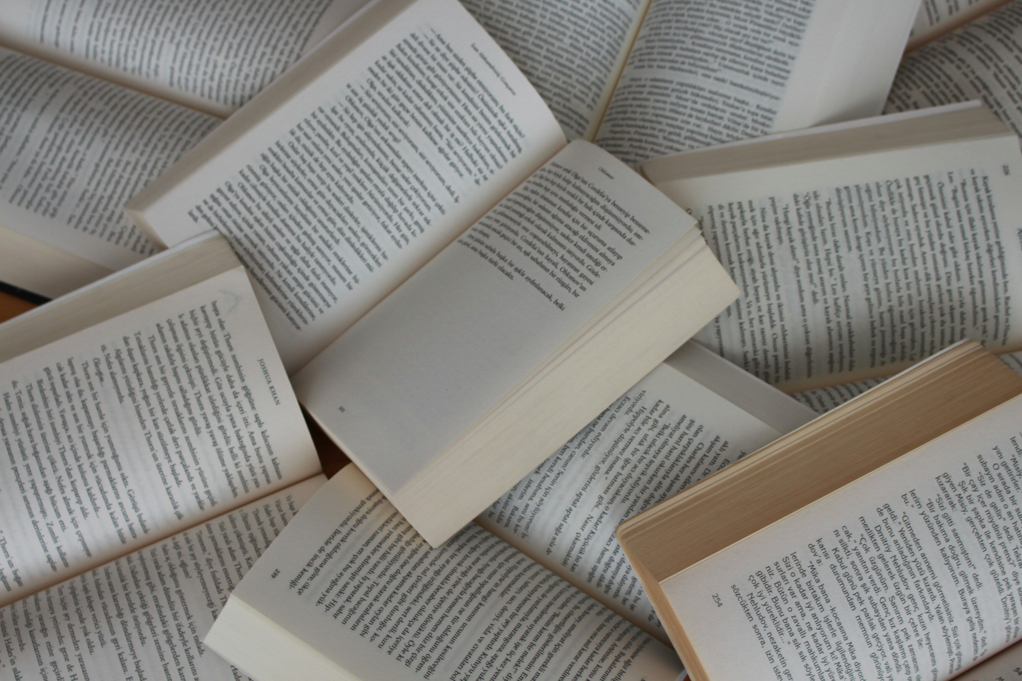 alt="Mehrere aufgeschlagene Bücher, die die Kategorie Romane symbolisieren"