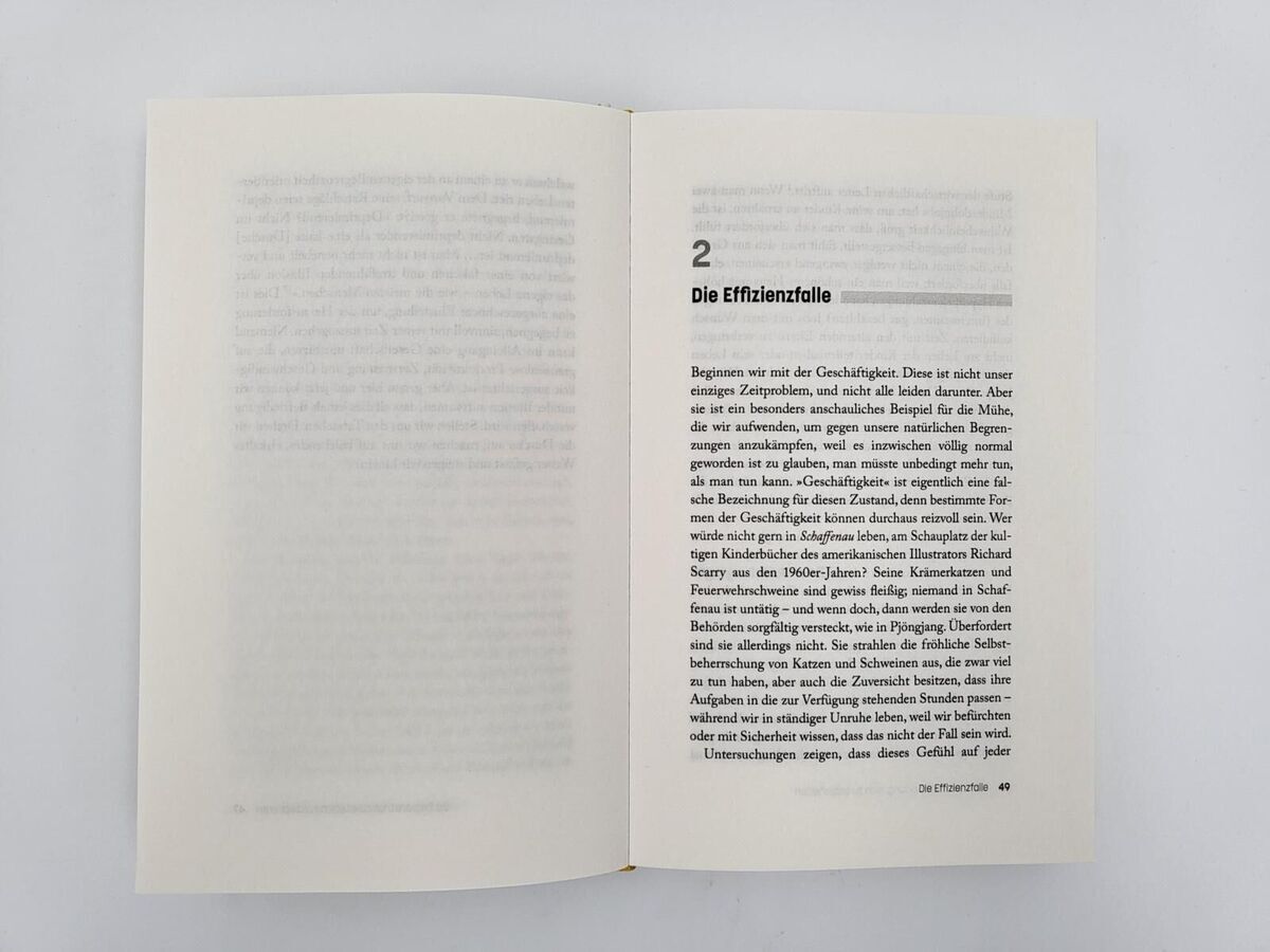 Auf dem Bild ist eine aufgeschlagene Seite des Buches '4000 Wochen' von Oliver Burkeman zu sehen. Kapitel 2 mit dem Titel 'Die Effizienztrolle' ist lesbar. Die Seite hat schwarze Schrift auf weißem Hintergrund.