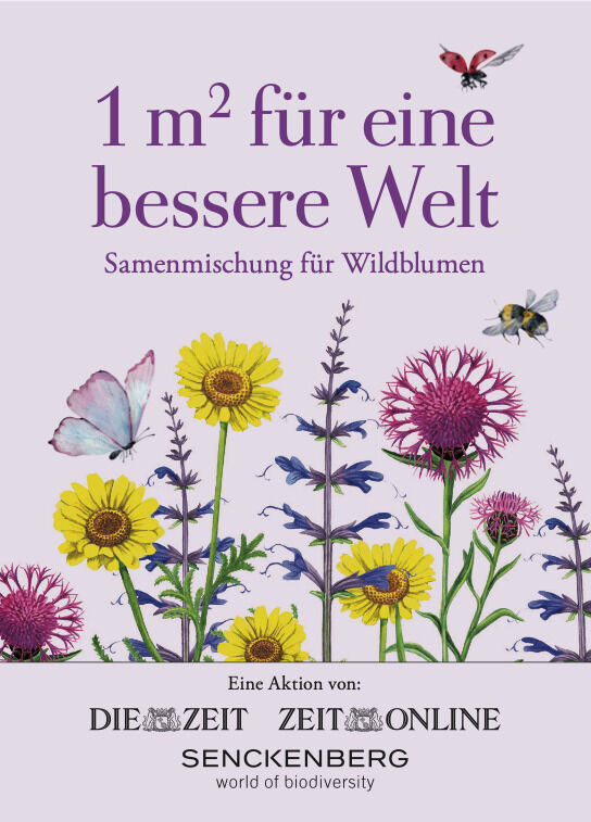 Eine Verpackung von Blumensamen mit dem Text '1 m² für eine bessere Welt - Samenmischung für Wildblumen'. Die Verpackung zeigt unterschiedliche Wildblumen in verschiedenen Farben wie Lila, Gelb und Rosa. Im unteren Bereich sind die Logos von DIE ZEIT, ZEIT ONLINE, und SENCKENBERG zu sehen.