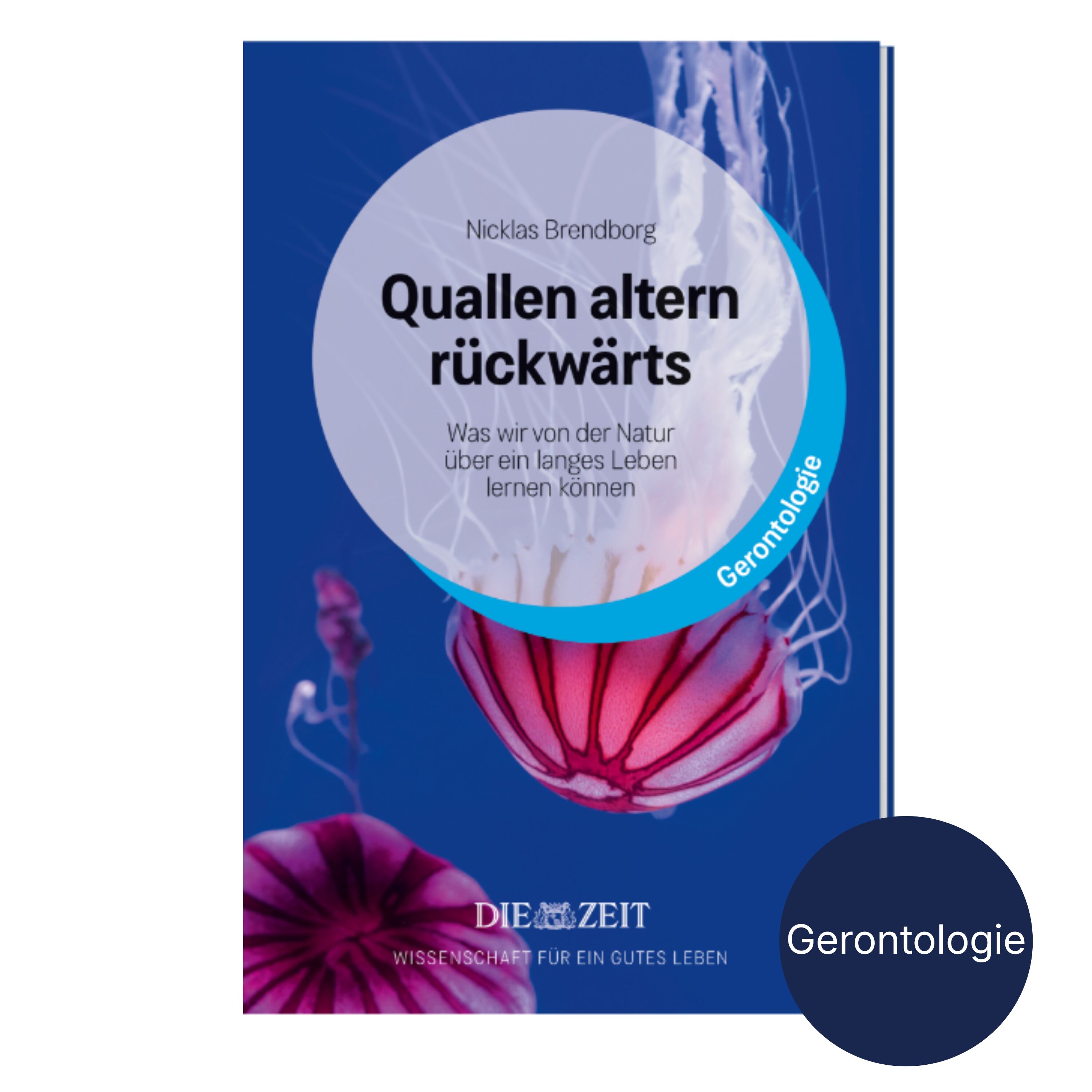 Detailreich gestaltetes Buchcover der ZEIT-Edition „Quallen altern rückwärts“ von Nicklas Brendborg. Im Fokus eine große Qualle in Pinktönen vor tiefblauem Hintergrund. Kreisförmiges Feld mit Buchtitel und Autor in moderner Typografie. Label „Gerontologie“ rechts unten.