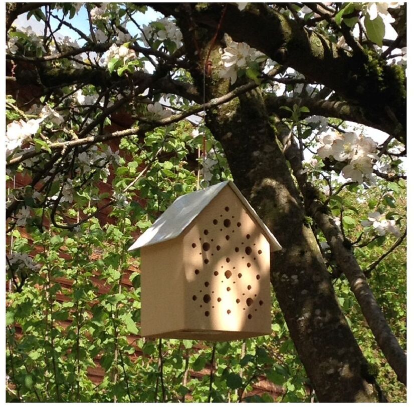 Ein Bienenhotel aus Holz mit kleinen Eingangslochern hängt an einem Ast eines blühenden Baumes.