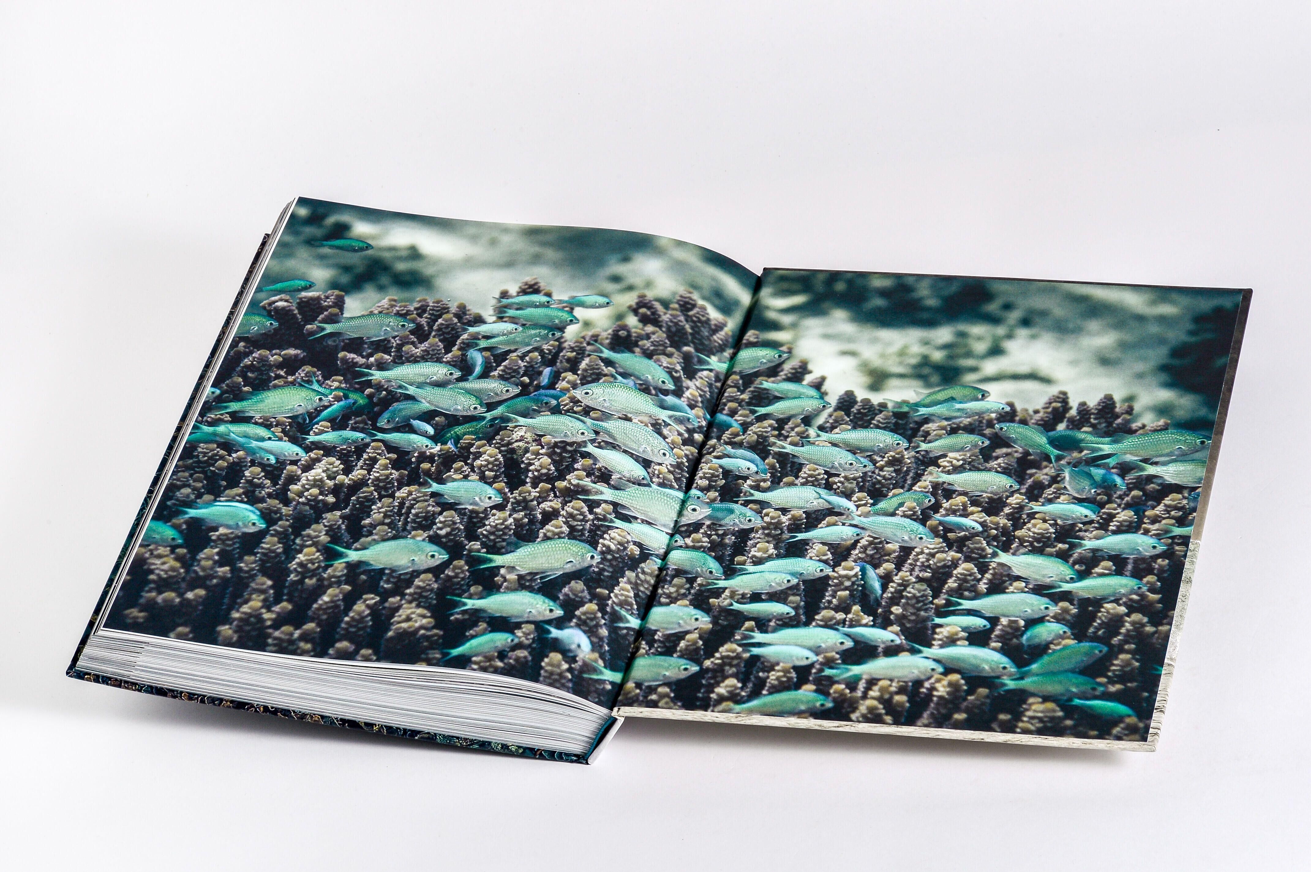 Innenansicht zu Pickford, P: Wilder Ozean