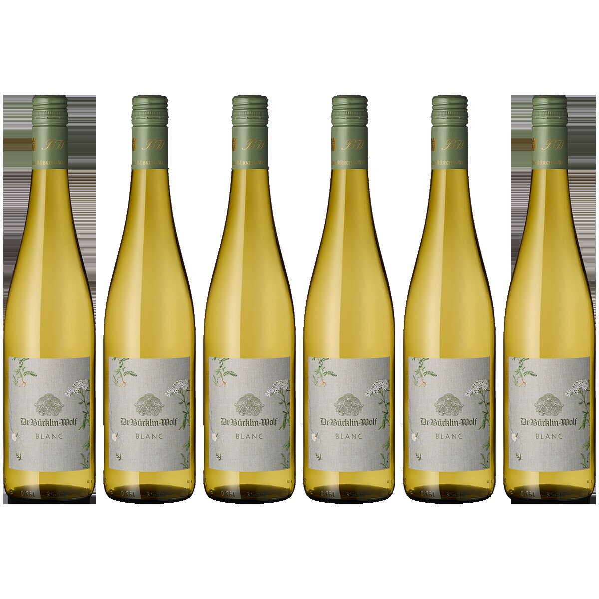 Sechs Flaschen Cuvee Blanc Weißwein der Marke Bürklin Wolf stehen nebeneinander auf weißem Hintergrund. Die Flaschen sind mit einem grün-grauen Etikett versehen und mit Schraubverschluss verschlossen. Ideal als Geschenk oder für besondere Anlässe.