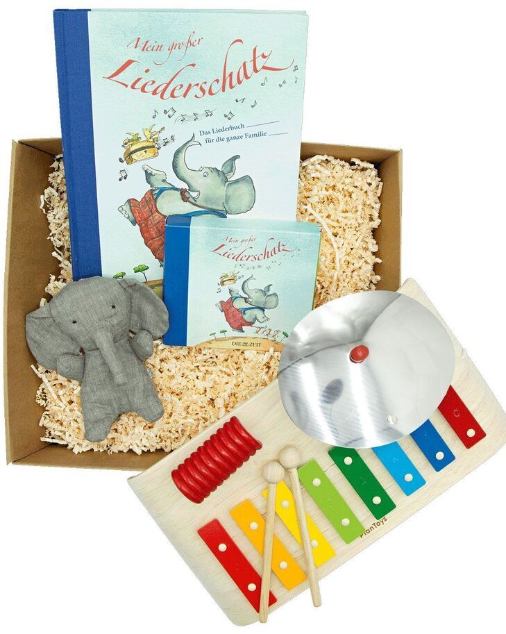 Geschenkset 'Musik für die Kleinen' bestehend aus einem Buch mit dem Titel 'Mein großer Liederschatz', einem Stofftier in Elefantenform, einem Xylophon mit bunten Tasten und einem Paar Schlagstöcke, alles in einer Geschenkverpackung mit Holzwolle.