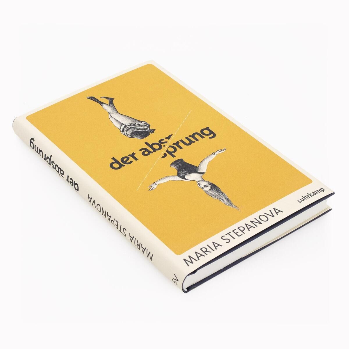 Innenansicht zu Stepanova, M: Absprung