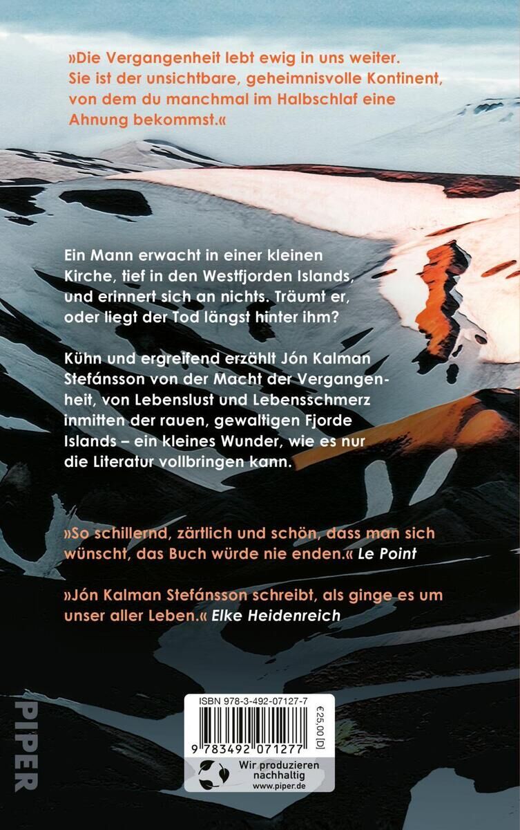 Rückseite eines Buches mit dem Titel 'Dein Fortsein ist Finsternis' von J. Stefánsson. Textbeschreibung und ISBN-Nummer sind sichtbar.