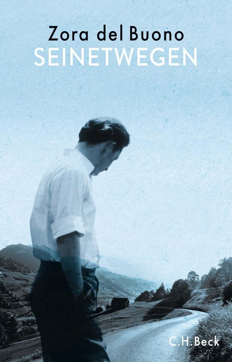 Das Buchcover zeigt einen nachdenklichen Mann, der auf einer Straße in einer ländlichen Berglandschaft spaziert. Der Himmel ist blau und klar. Der Titel des Buches 'Seinetwegen' und der Name der Autorin 'Zora del Buono' sind ebenfalls auf dem Cover zu sehen.