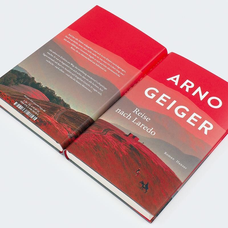 Innenansicht zu Geiger, A: Reise nach Laredo