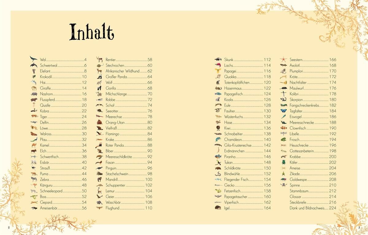 Inhaltsverzeichnis aus dem Buch 'Wundervolle Welt der Tiere' mit mehreren Tierillustrationen und Titeln der Buchkapitel in einer naturähnlichen Schriftart.