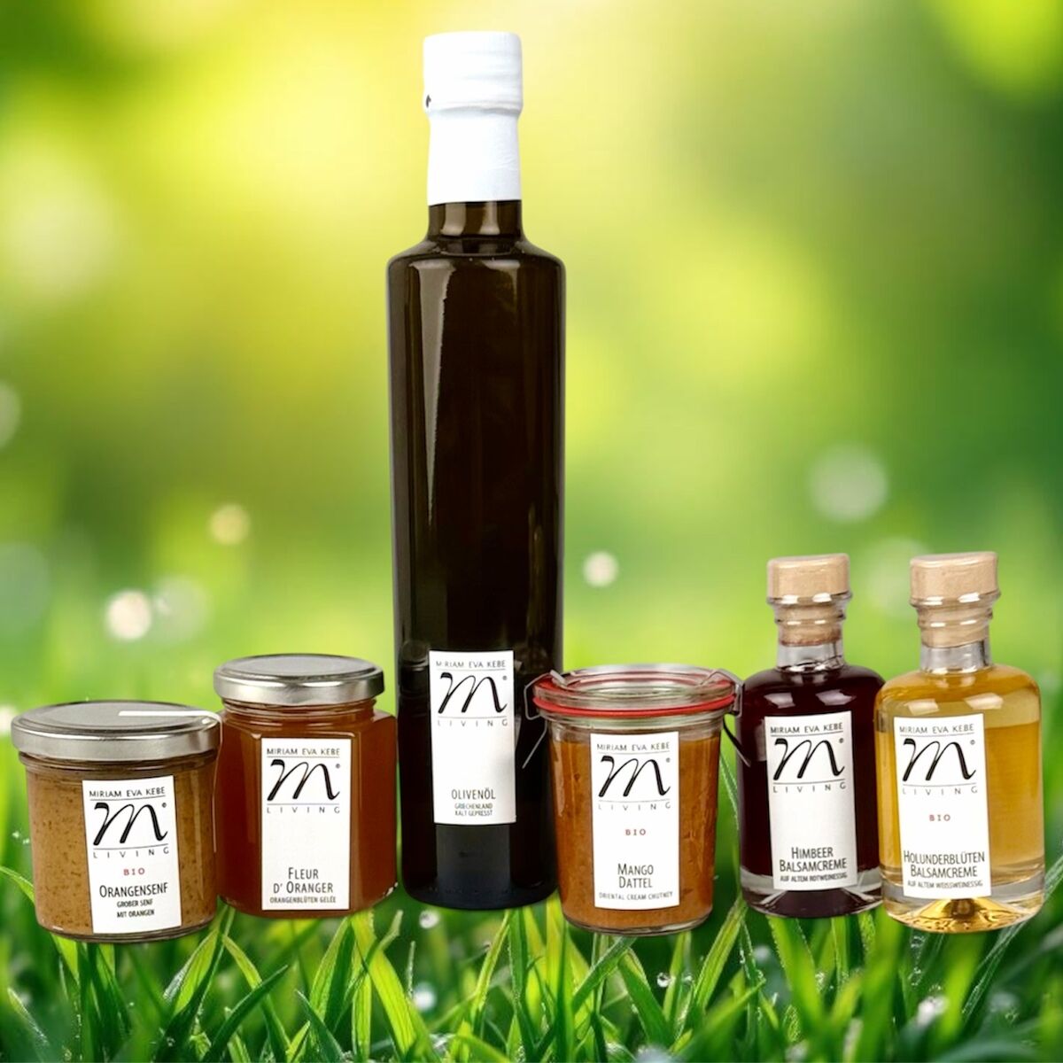 Das Bild zeigt das »Frühlingsgourmet«-Set bestehend aus sechs Feinkostprodukten, darunter eine dunkle Flasche mit weißem Verschluss, Glasbehälter mit verschiedenen Aufstrichen sowie zwei kleinere Flaschen. Alle Produkte sind elegant etikettiert und stehen vor einem frühlingshaft grünen, verschwommenen Hintergrund mit Lichtreflexen.