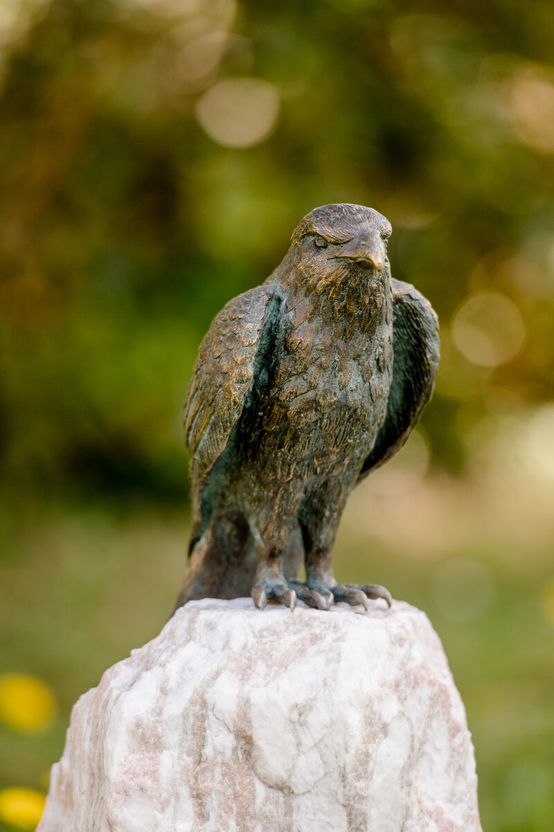 Eine detaillierte Bronzeskulptur eines Roten Milans, die auf einem felsigen Sockel steht. Die Skulptur zeigt den Vogel in einer ruhigen, wachsamen Haltung, die Umgebung ist teilweise unscharf dargestellt.