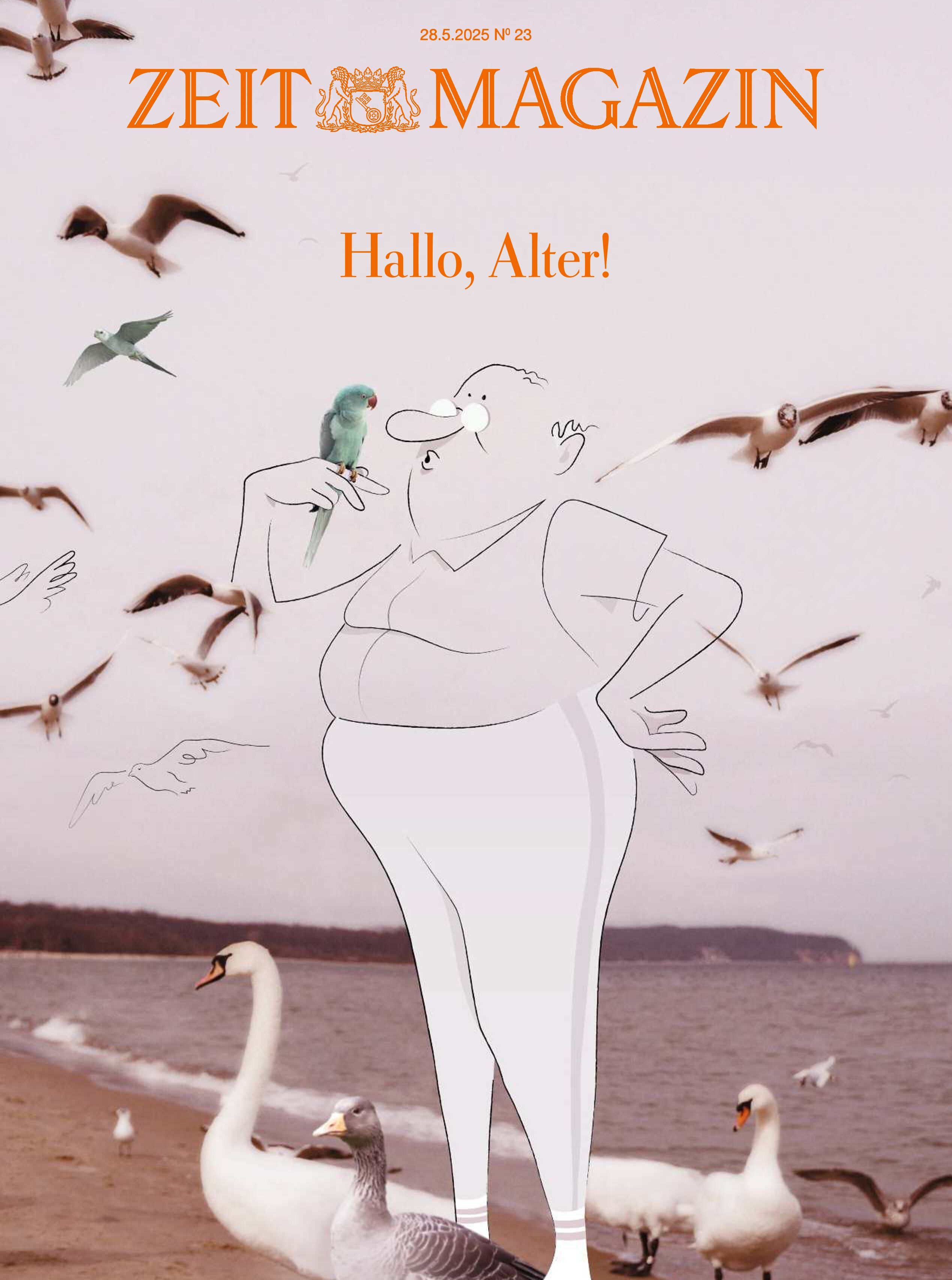 Titelblatt des ZEIT Magazins 23/2025 mit einer gezeichneten Figur am Meer, umgeben von Vögeln und einem Schriftzug 'Hallo, Alter!' in orangefarbener Schrift.