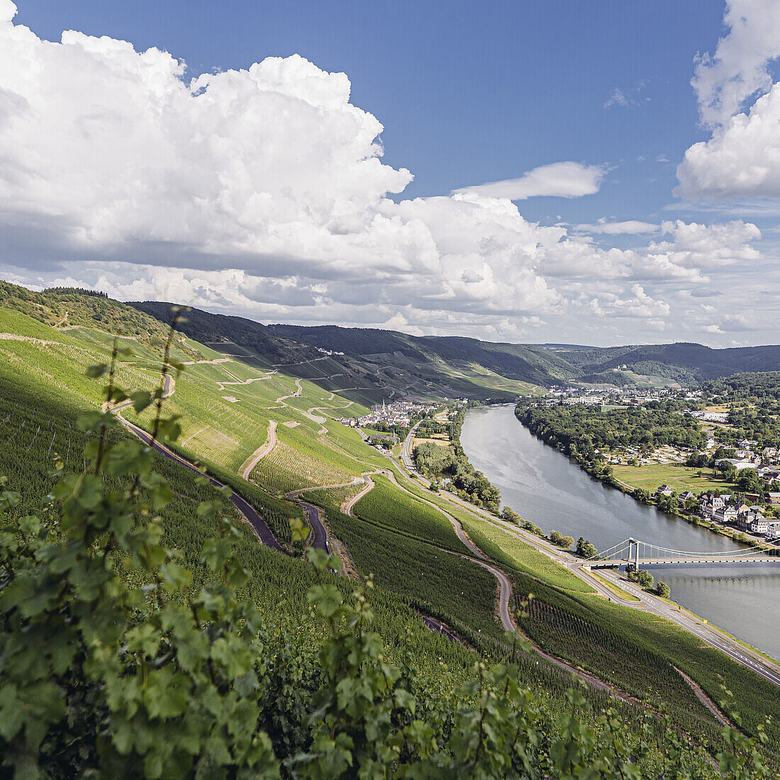 Panorama der Rheingauer Weinberge mit üppigen grünen Rebzeilen an einem sonnigen Hang, durchzogen von kurvigen Wegen. Rechts im Bild verläuft der ruhige Rhein durch das Tal, flankiert von Ortschaften und Brücken vor malerischen Berglandschaften und teils bewölktem Himmel.