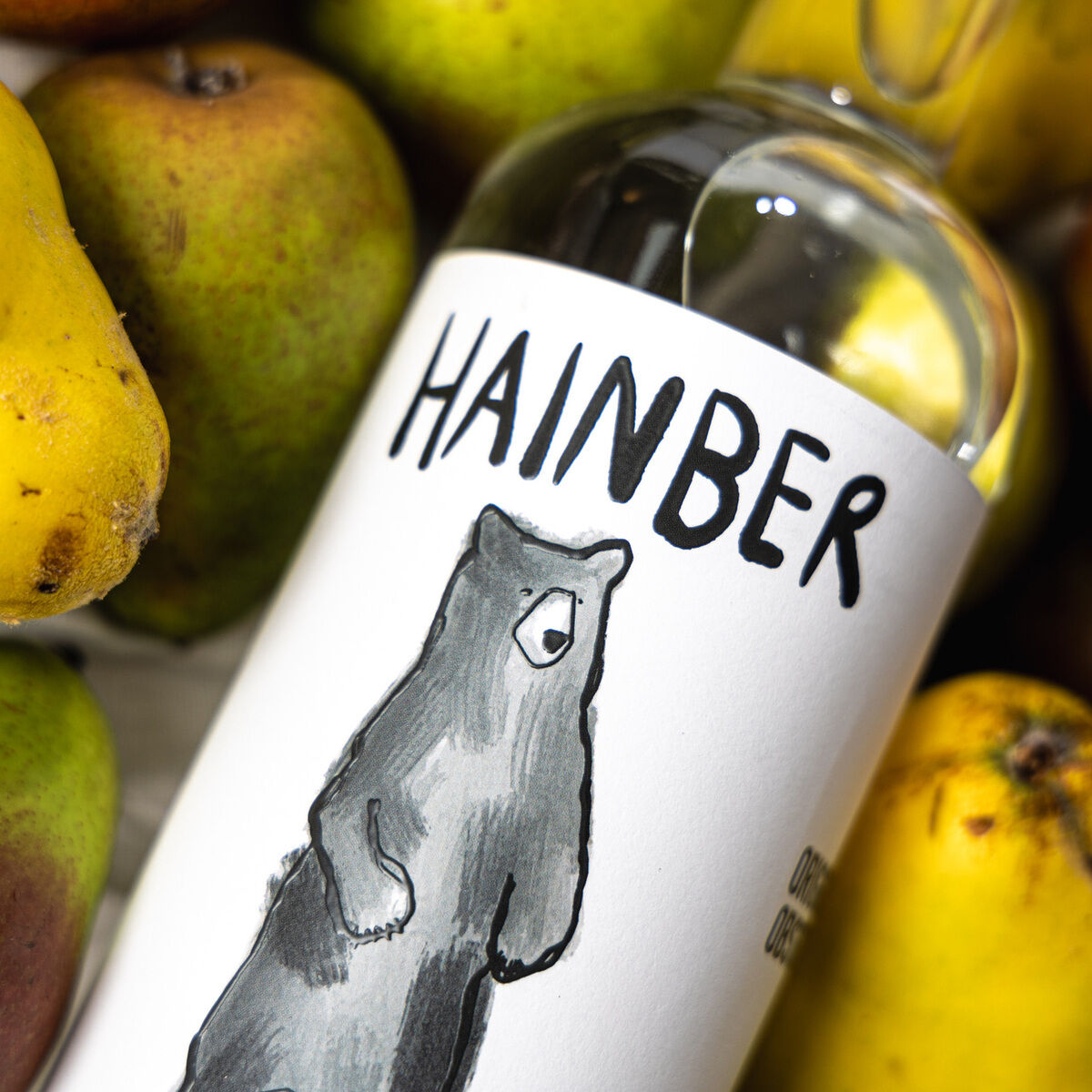Eine Flasche Marillen-Obstler "HAINBER" von AASPIRITS steht schräg zwischen mehreren Birnen und Quitten. Auf dem weißen Etikett ist ein gezeichneter Bär zu sehen. Die Szene wirkt hochwertig und das Licht betont die Frische der Früchte und das klare Glas der Flasche.