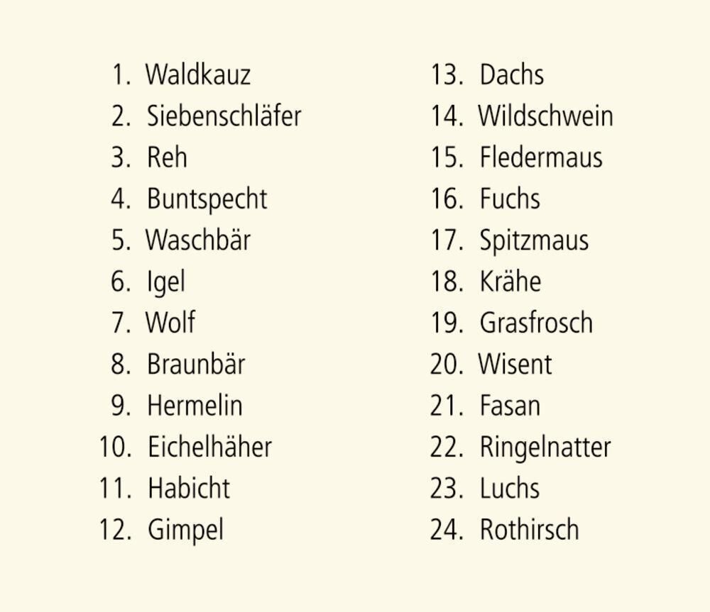 Innenansicht zu Adventskalender mit Sound: Hört ihr die Tiere im Winterwald?