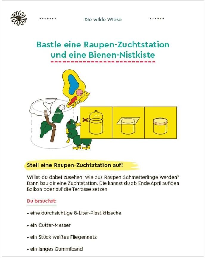 Abbildung des ZEIT LEO-Outdoor-Erlebnisbuchs mit einem DIY-Projekt zum Basteln einer Raupen-Zuchtstation und einer Bienen-Nistkiste. Bunte Illustrationen zeigen die benötigten Materialien und Schritte.