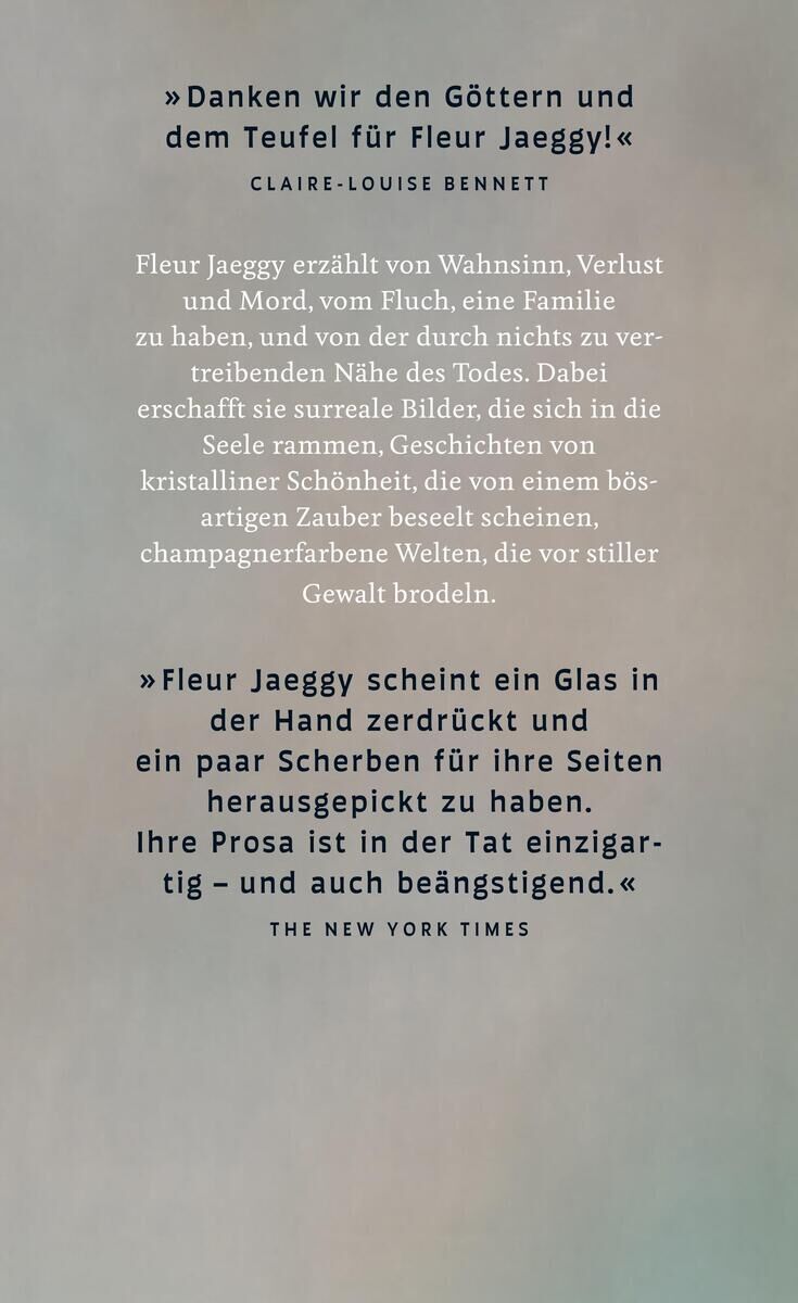 Rückansicht - Jaeggy, F: Ich bin der Bruder von XX