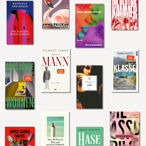12 Buchcover aus den Besten Büchern 2025