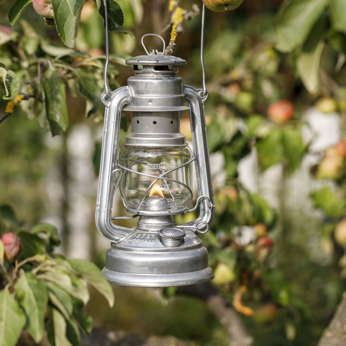 Eine zinkbeschichtete Sturmlaterne hängt an einem Baumzweig im Garten. Die Laterne strahlt ein warmes Licht aus und ist von grünen Blättern und reifen Äpfeln umgeben.