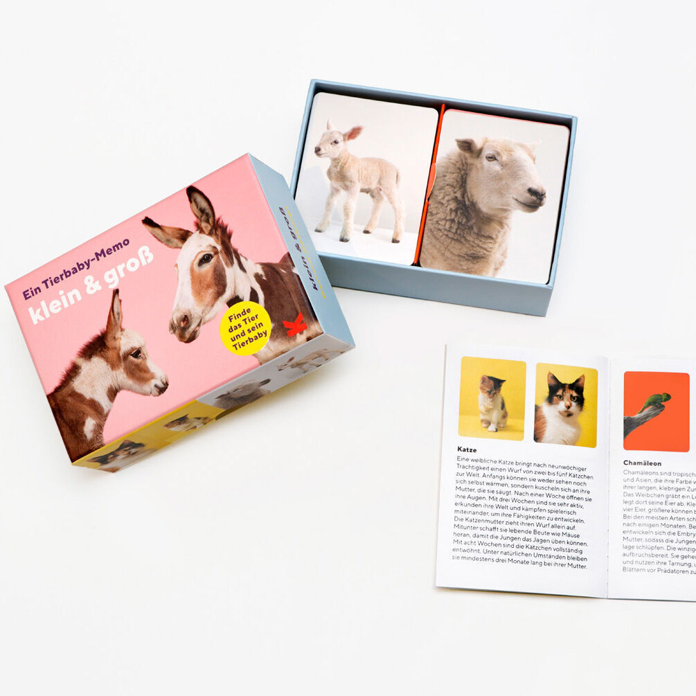 Ein Tierbaby-Memo-Spiel 'Klein und Groß' mit einer offenen Verpackung. Die Verpackung zeigt ein Foto eines jungen Esels und enthält Karten mit Abbildungen verschiedener Tiere, darunter ein Lamm und ein Kätzchen. Die Karten haben weiße Hintergründe und sind in einer Blauen Schachtel verpackt.