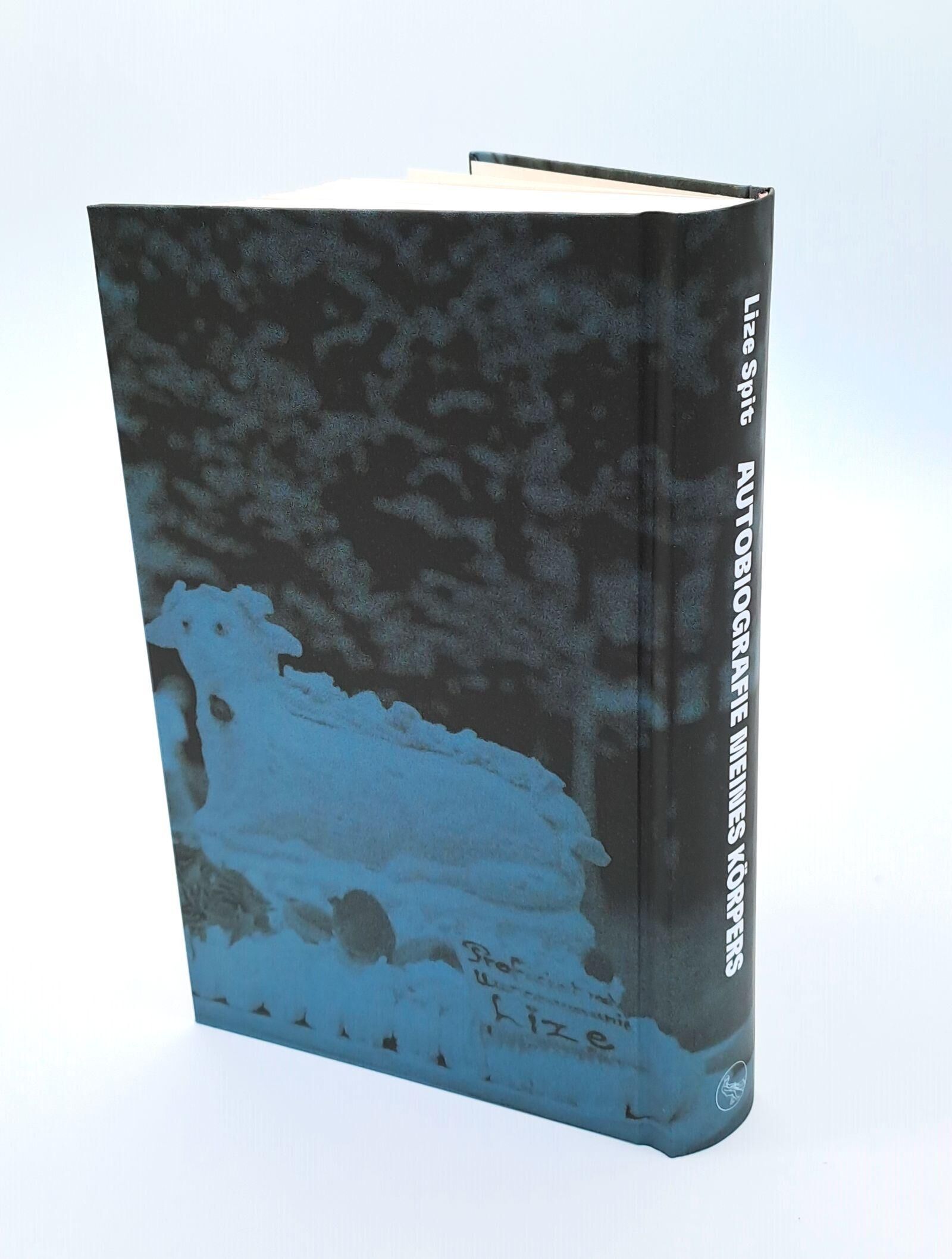 Innenansicht zu Spit, L: Autobiografie meines Körpers