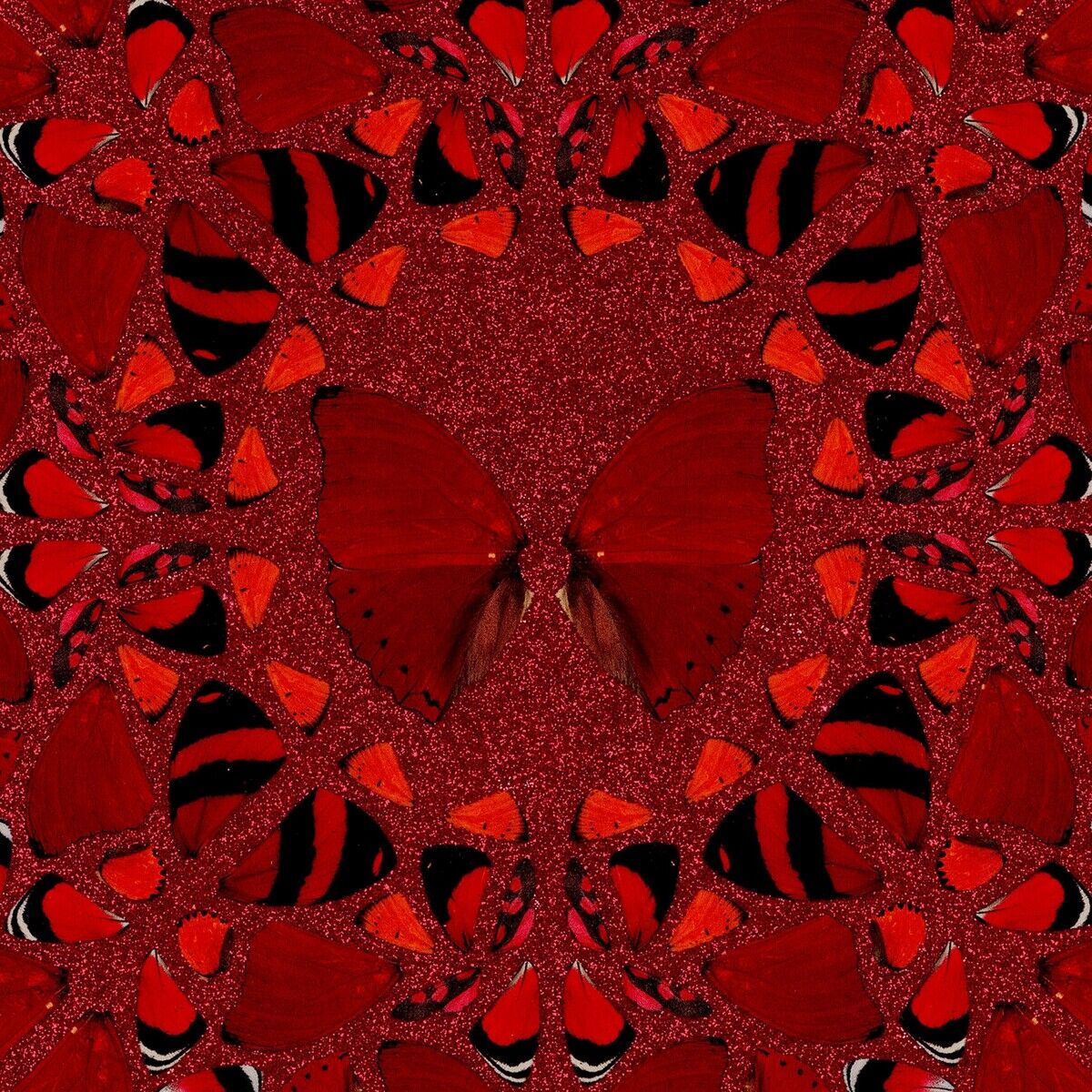 Ein kunstvolles Mosaik von Damien Hirst namens »Nūr Jahān« (The Empresses, H10-02), 2022. Es zeigt eine detailreiche Anordnung roter Schmetterlingsflügel mit einigen schwarzen Mustern auf einem roten Hintergrund.