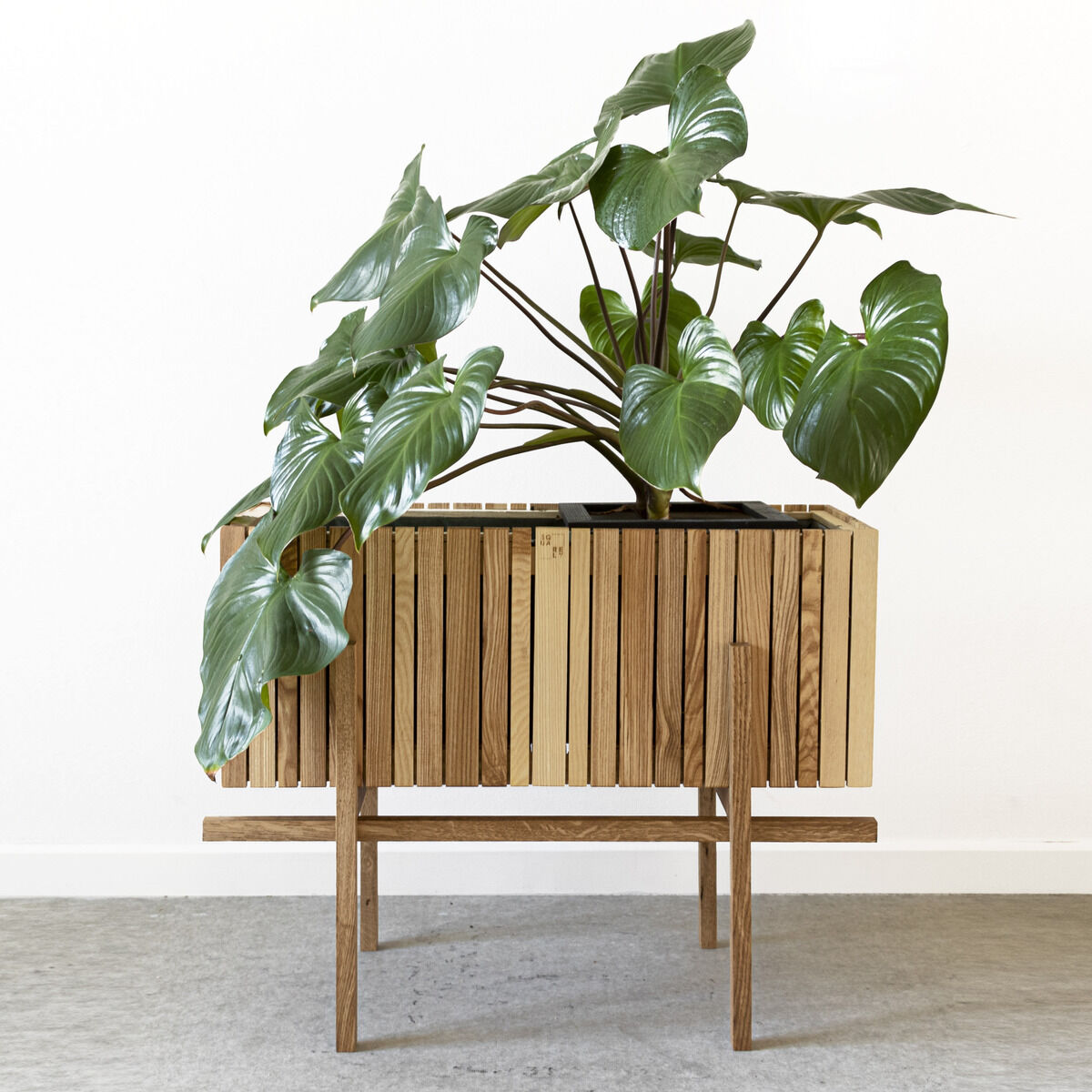 Ein stilvoller Pflanzenständer aus Holz mit einer großen Zimmerpflanze darauf. Der Ständer hat ein minimalistisches Design und steht in einem Raum mit einem hellen Hintergrund.