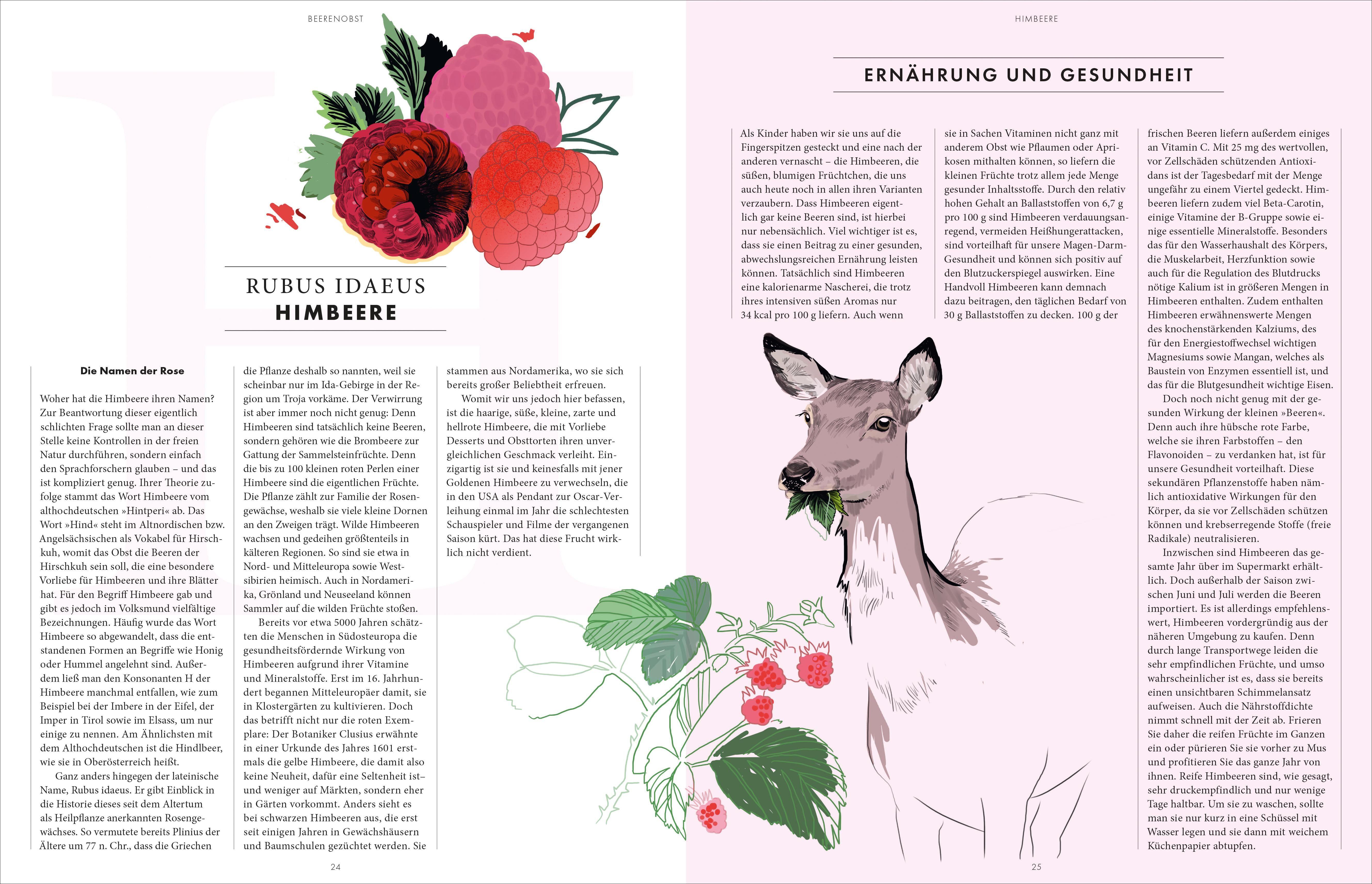 Innenansicht zu Schillings, R: Wesentliche