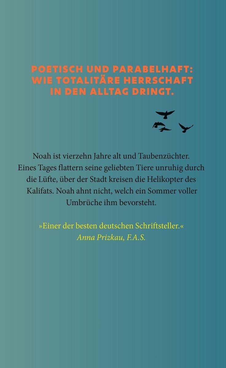 Innenansicht zu Khider, A: Der letzte Sommer der Tauben
