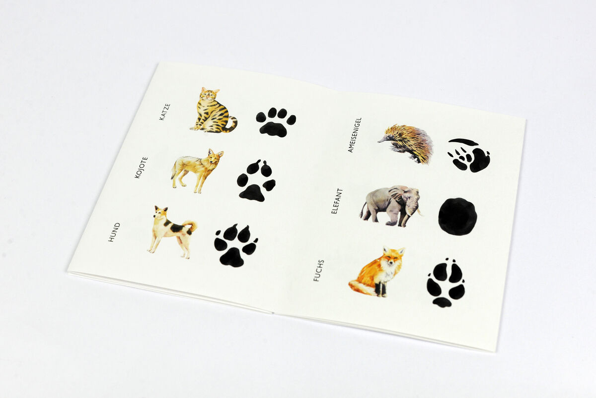 Ein aufgeschlagenes Buch mit Illustrationen von Tieren und ihren entsprechenden Pfotenabdrücken. Es zeigt Tiere wie Katze, Hund, Igel, Fuchs und Elefant sowie deren schwarze Pfotenspuren auf weißem Hintergrund.