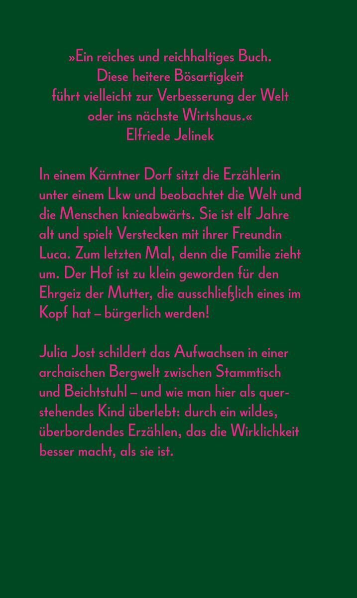 Rückansicht - Jost, J: Wo der spitzeste Zahn der Karawanken in den Himmel ragt