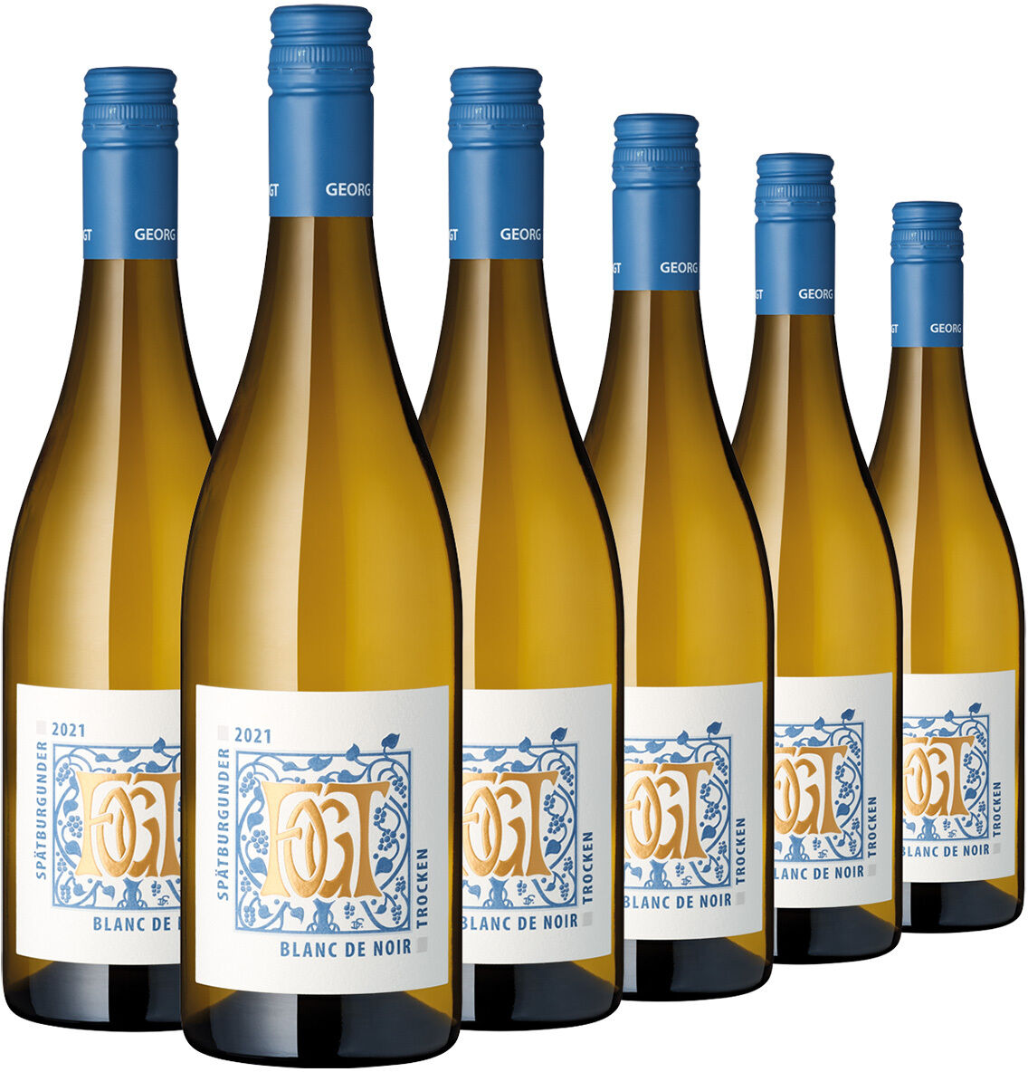 Freigestelltes Produktfoto eines Sechserpacks Weingut Georg Fogt Blanc de Noir: sechs schlanke, goldgelb schimmernde Weinflaschen mit dunkelblauen Schraubverschlüssen. Weiße Etiketten tragen blaue und goldene Ornamente, das große Fogt-Monogramm sowie „2021“, „Spätburgunder“, „Blanc de Noir“ und „trocken“.