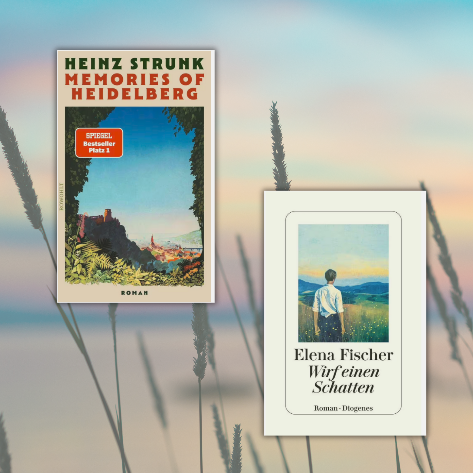 Link zur Kategorie Neuentdeckungen im August: Zwei Buchcover vor verschwommenem Sonnenuntergang und Gräsern: Links Heinz Strunks "Memories of Heidelberg" mit Ausblick auf eine Stadtlandschaft im goldenen Licht. Rechts Elena Fischers "Wirf einen Schatten" mit einer Person von hinten vor Wiesen und Bergen. 