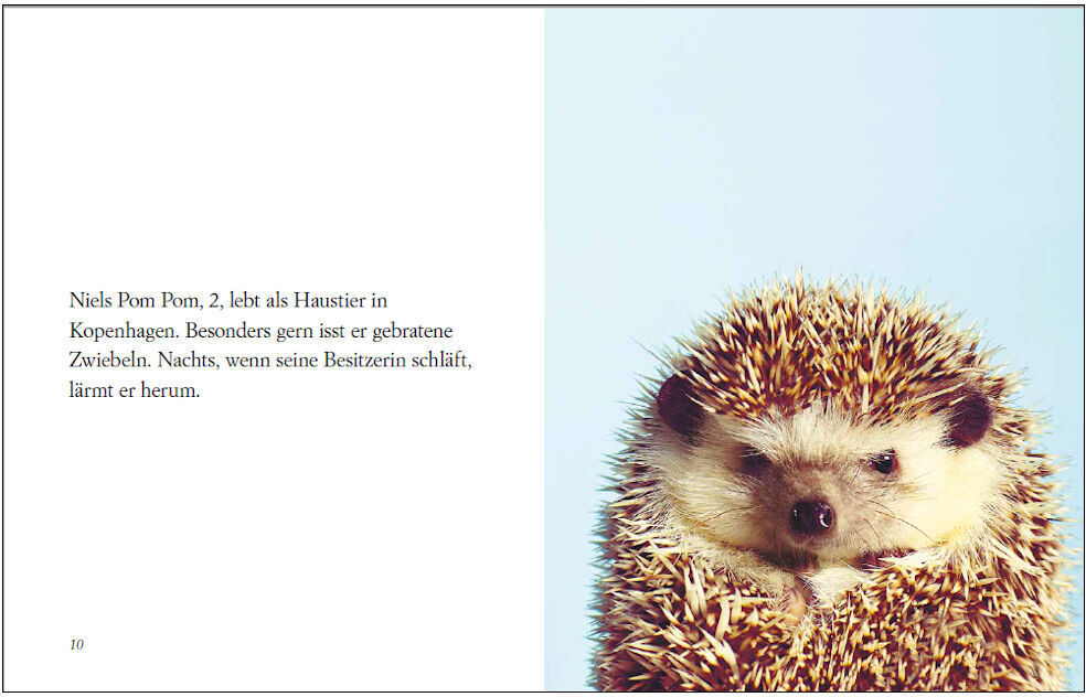 Eine Doppelseite aus dem Buch »Du siehst aus, wie ich mich fühle«. Links ein Text über einen Igel, rechts ein humorvolles Bild eines Igels vor einem hellblauen Hintergrund.