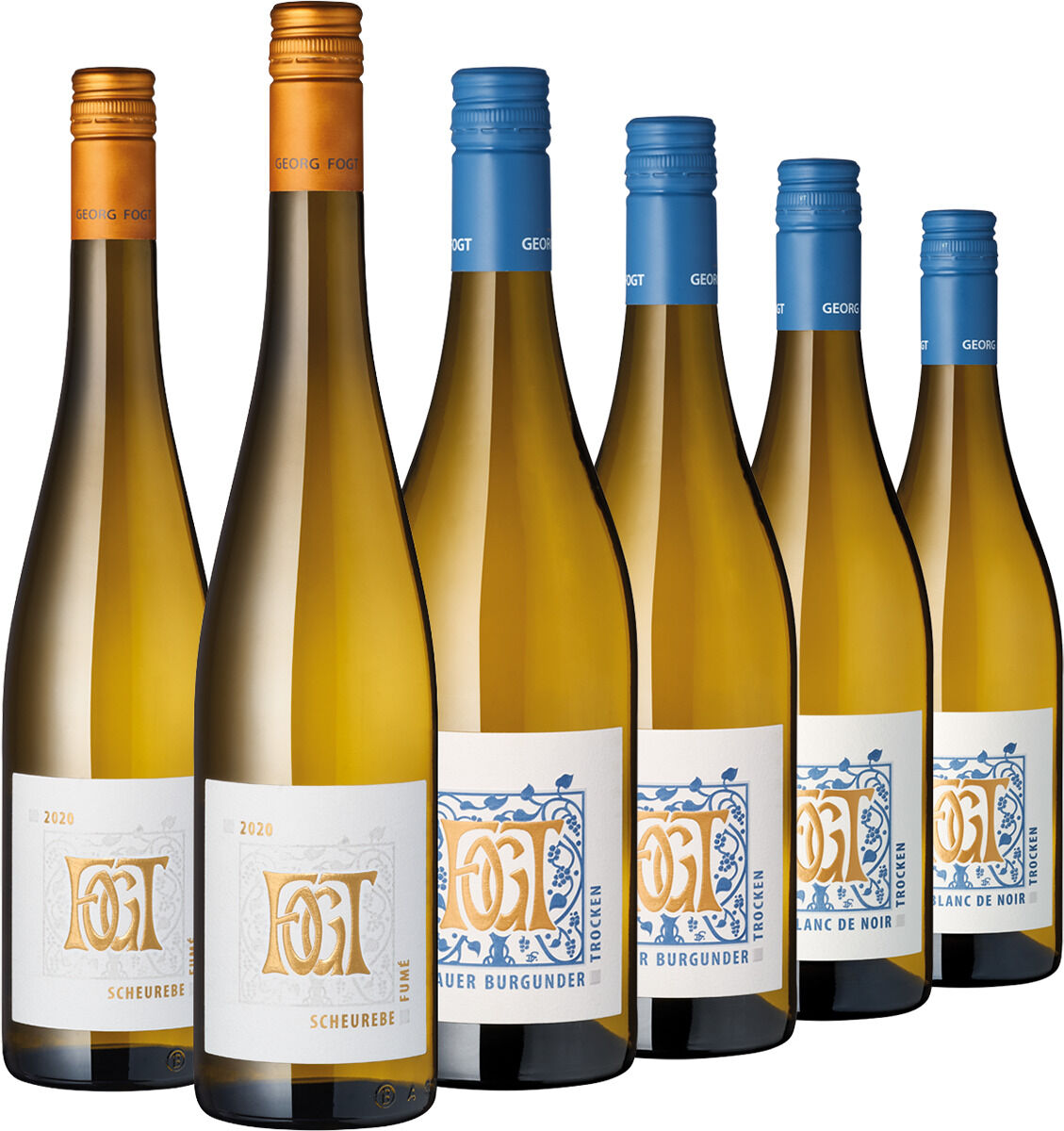 Freigestelltes Weingut-Georg-Fogt-Weinpaket mit sechs schlanken Flaschen vor weißem Hintergrund: je zwei Scheurebe mit orangefarbenen Kapseln, Grauer Burgunder und Blanc de Noirs mit blauen Kapseln. Die goldgelben Weine tragen weiße Etiketten mit großem ornamentalen Fogt-Monogramm in Orange oder Blau.