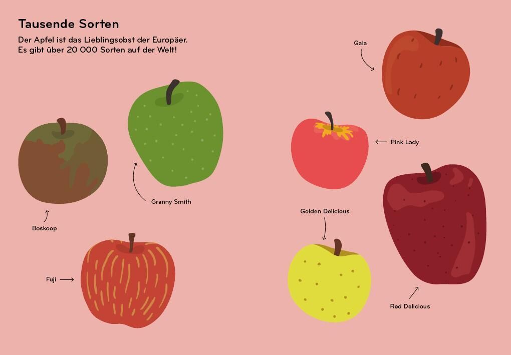 Eine Illustration verschiedener Apfelsorten auf einem hellen Hintergrund, darunter Granny Smith, Golden Delicious, Red Delicious, Pink Lady, Boskoop und Gala. Jeder Apfel ist farblich dargestellt mit einem Etikett seines Namens. Der Text oben gibt an, dass der Apfel das Lieblingsobst der Europäer ist und es über 20.000 Sorten weltweit gibt.