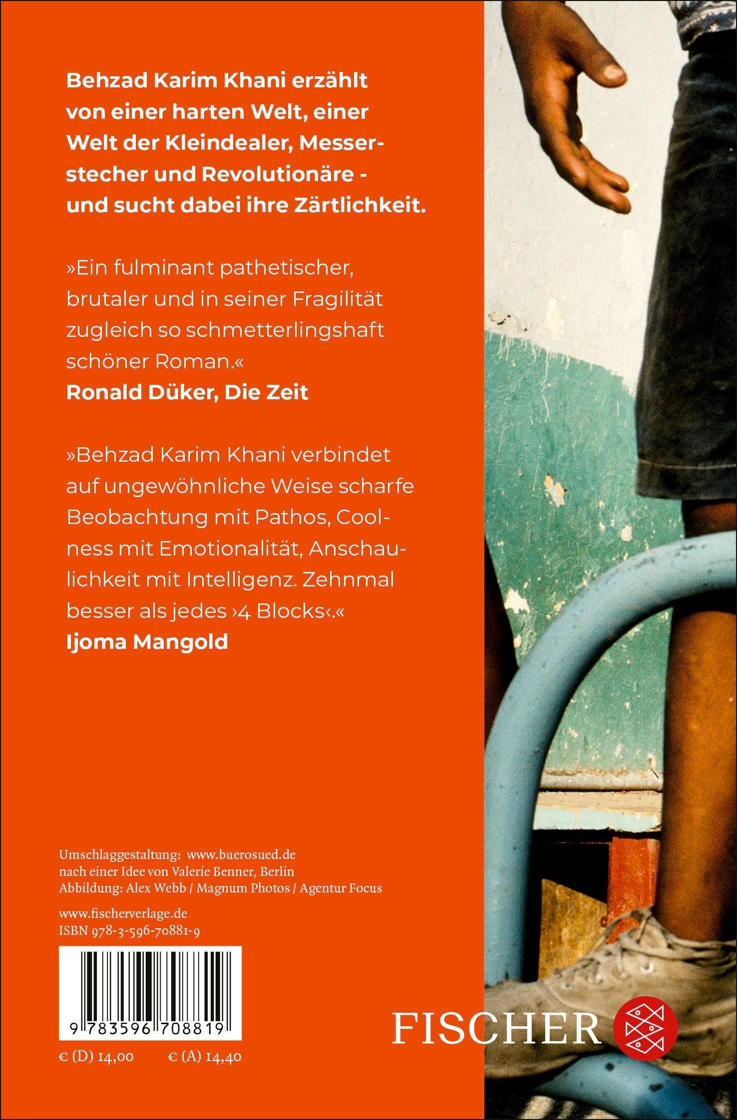 Rückansicht - Karim Khani, B: Hund, Wolf, Schakal