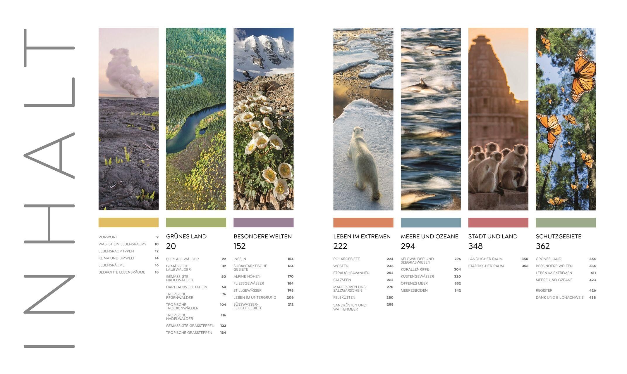 Innenansicht zu Asher, C: Wilde Welten