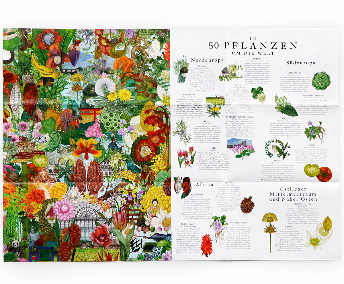 Ein Puzzle mit dem Titel „In 50 Pflanzen um die Welt“ zeigt bunt illustrierte Pflanzen und eine beschreibende Karte von Pflanzen aus verschiedenen Regionen der Welt, einschließlich Nordamerika, Südeuropa, Afrika, und dem östlichen Mittelmeerraum und Nahen Osten.