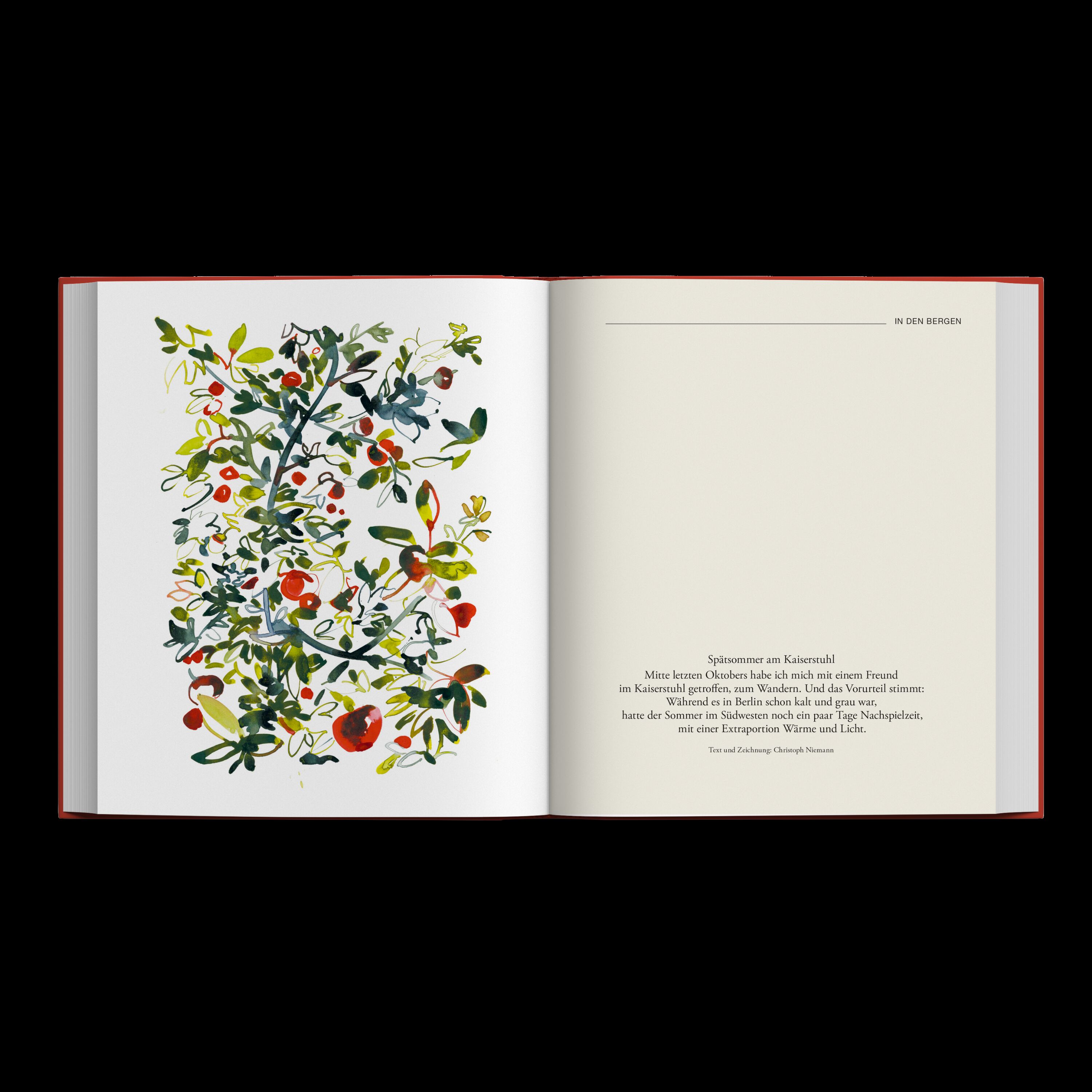 Geöffnetes Buch ZEIT-Edition »Hin und weg! 77 Lieblingsorte in Deutschland« auf weißem Hintergrund; linke Seite zeigt eine farbenfrohe Illustration mit roten und grünen Pflanzen, rechte Seite schlichte Typografie mit Schrift, beide Seiten von hochwertigem weißem Papier umgeben.