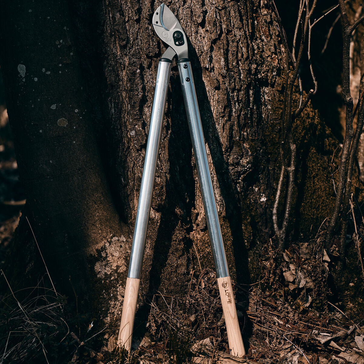 Die Abbildung zeigt eine Original Löwe Hybrid Astschere mit silbernen Metallgriffen und beigen Holzgriffen, die an einen Baumstamm im Freien gelehnt ist. Das Bild ist von natürlichem Licht durchzogen und umgeben von Laub und Ästen und betont den Einsatz des Werkzeugs für Garten- und Baumpflege.