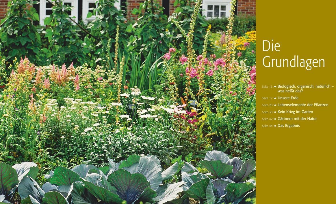 Der Biogarten von Marie-Luise Kreuter: Eine repräsentative Gartenansicht mit üppigem, grünem Laub, bunten Blumen und verschiedenen Pflanzen unter klarem Himmel. Ein Backsteinhaus im Hintergrund. Auf der rechten Seite des Bildes befindet sich ein Textbereich mit dem Titel 'Die Grundlagen' und mehreren Themenpunkten.